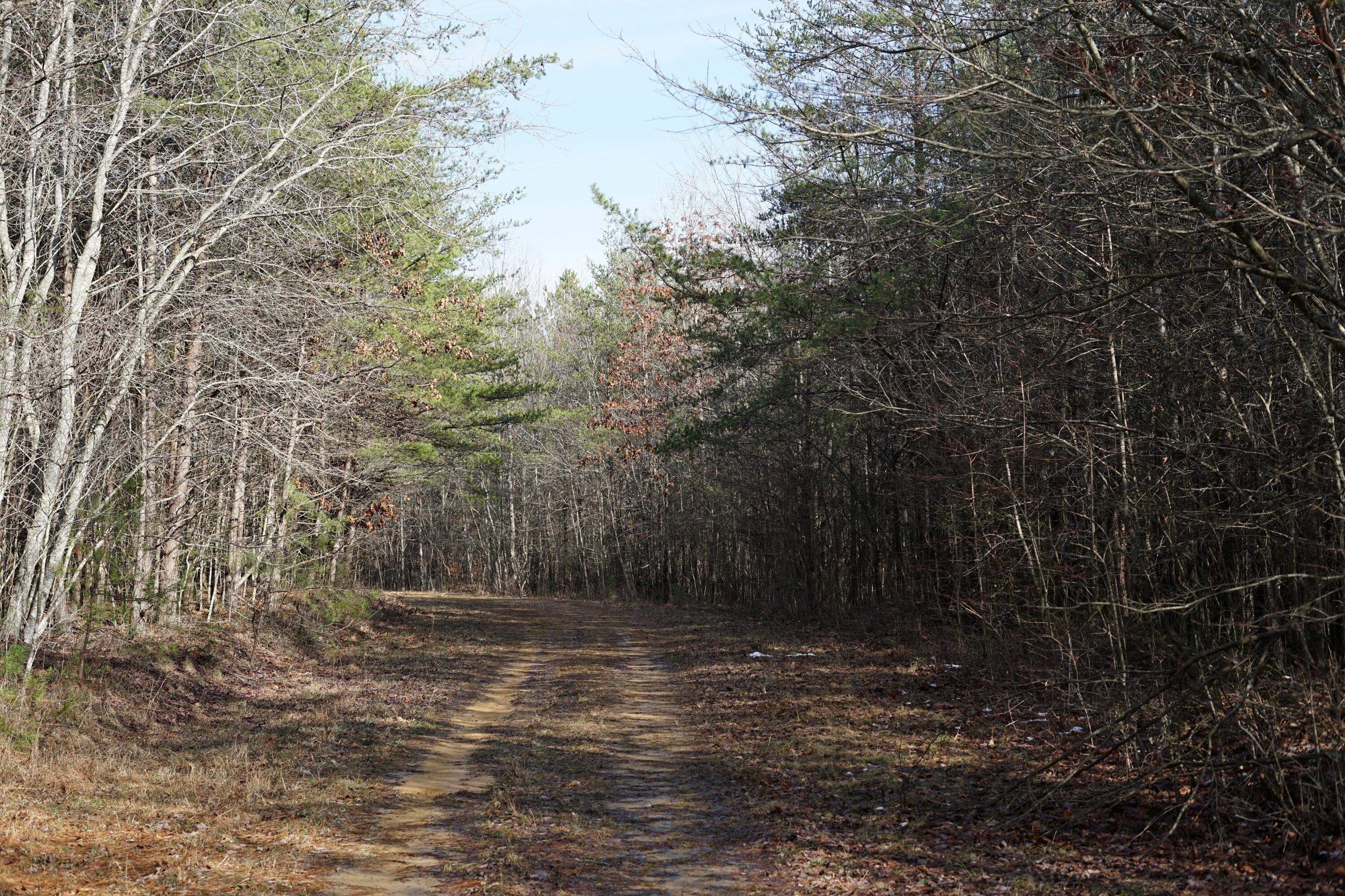 Lone Wolf Trail, Spencer, Tennessee image 15