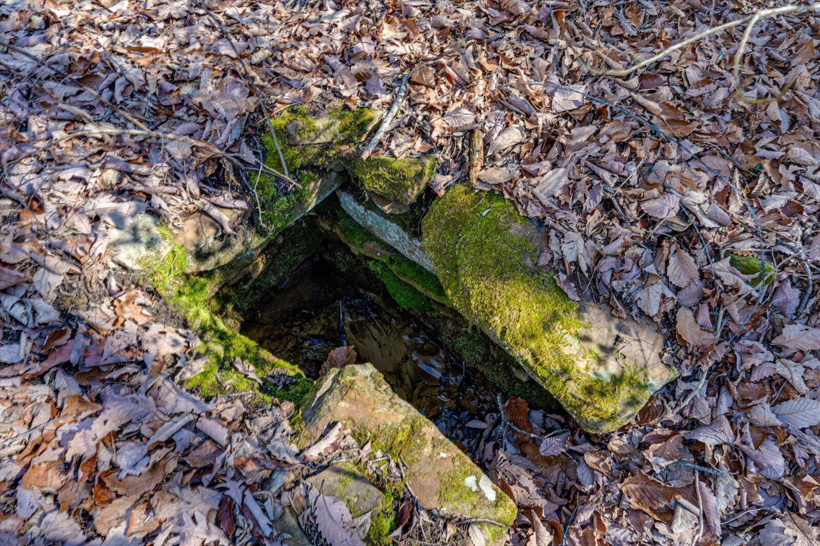 805 Dukes Road, Signal Mountain, Tennessee image 27