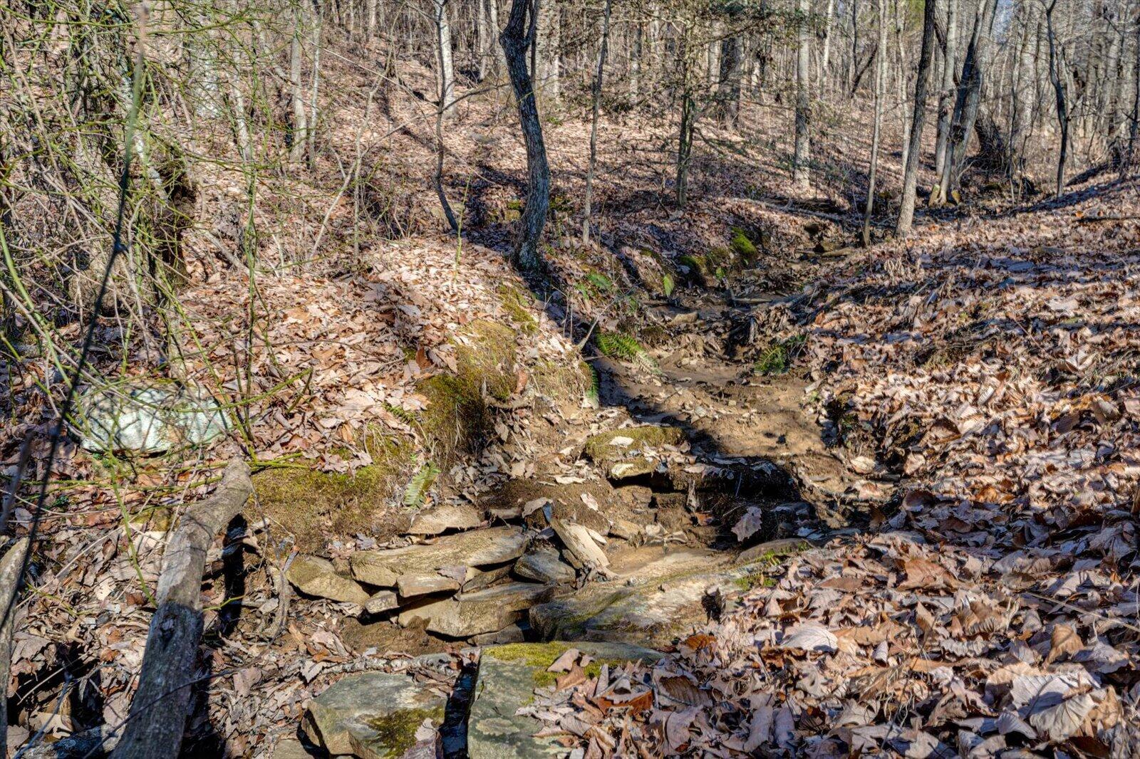 805 Dukes Road, Signal Mountain, Tennessee image 21
