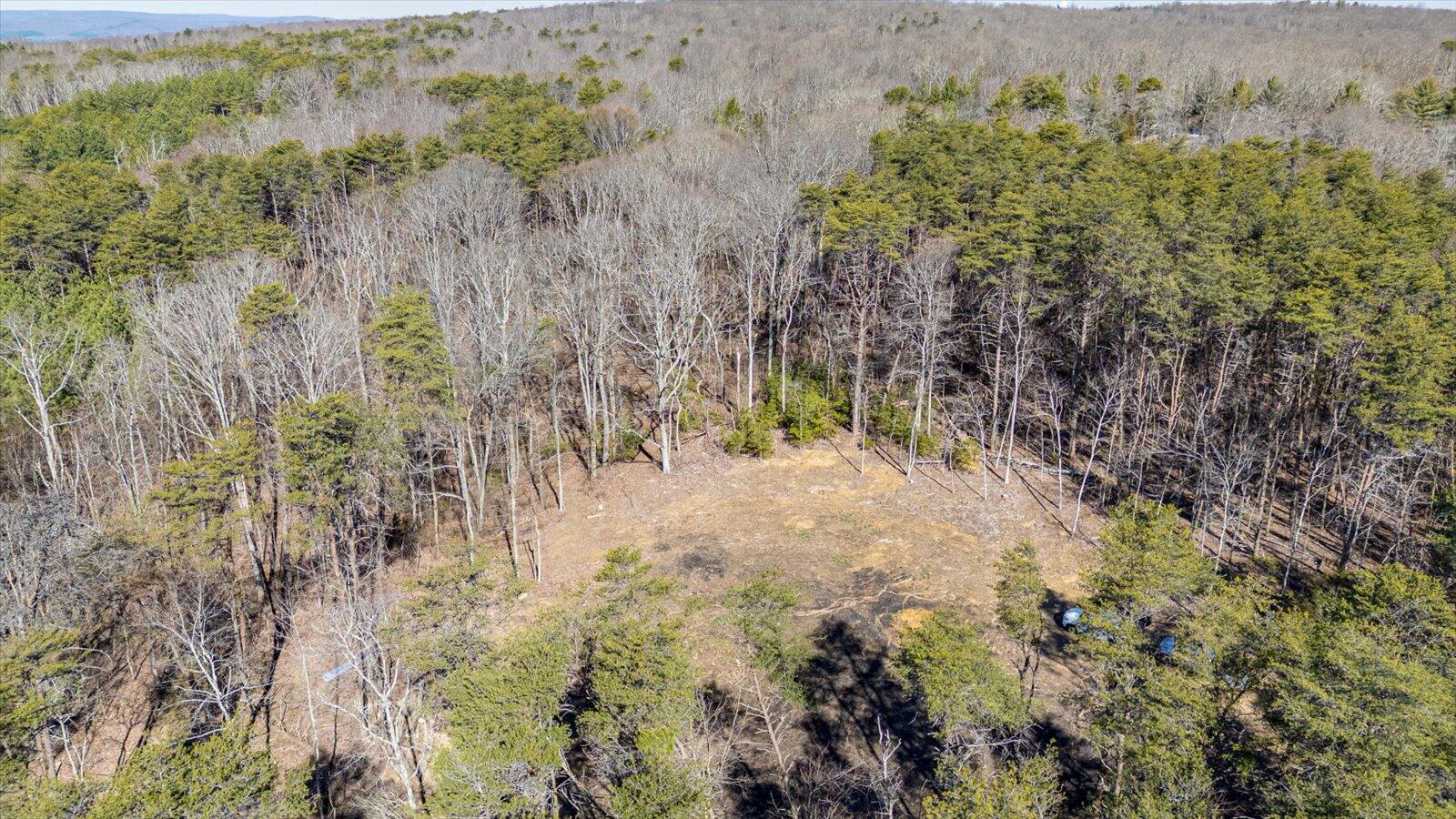 805 Dukes Road, Signal Mountain, Tennessee image 3
