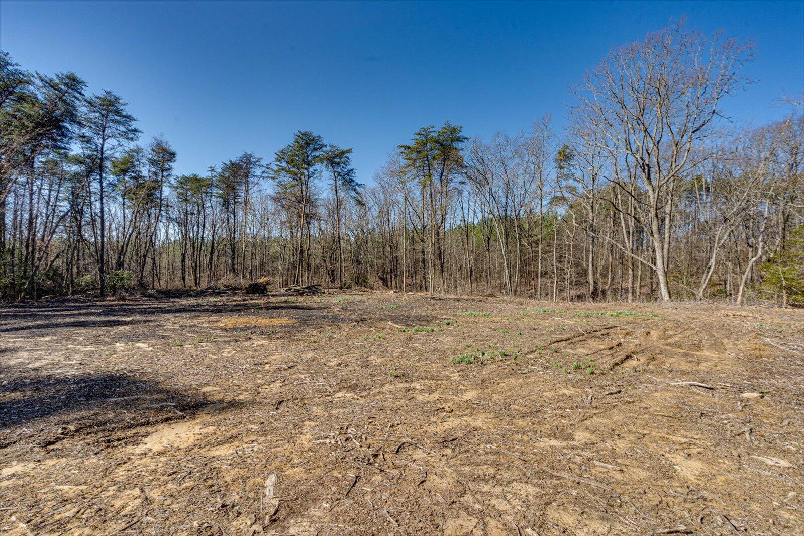 805 Dukes Road, Signal Mountain, Tennessee image 14