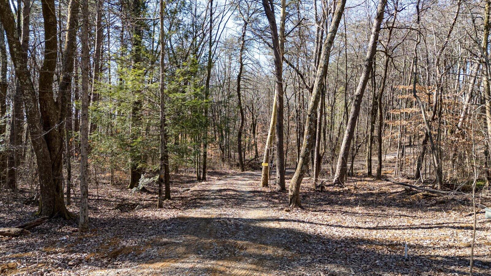 805 Dukes Road, Signal Mountain, Tennessee image 10