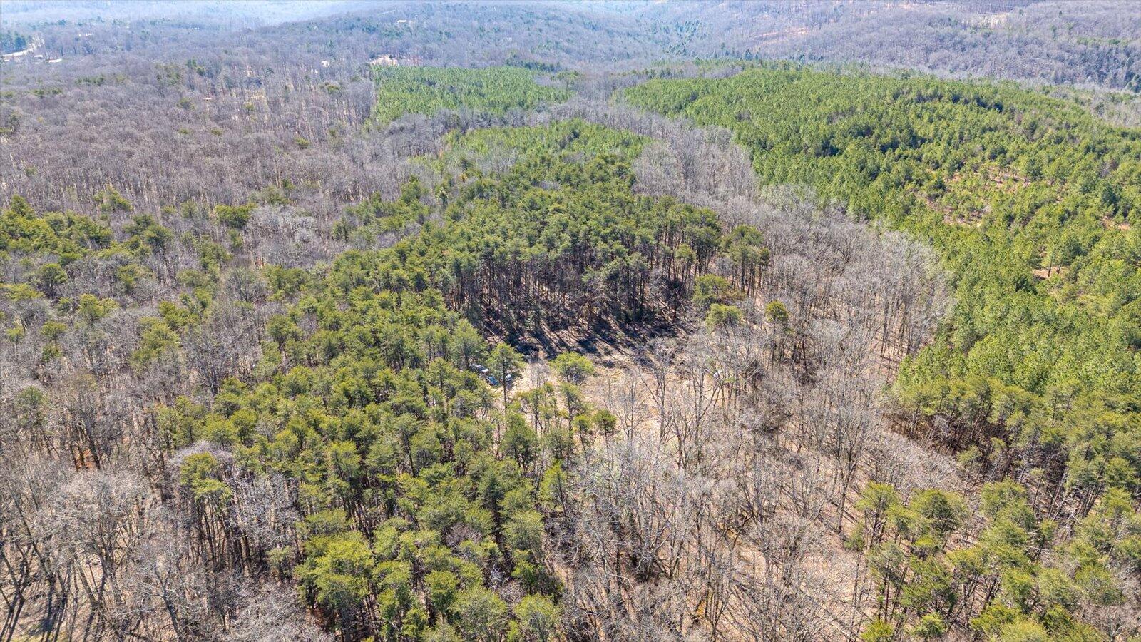 805 Dukes Road, Signal Mountain, Tennessee image 6