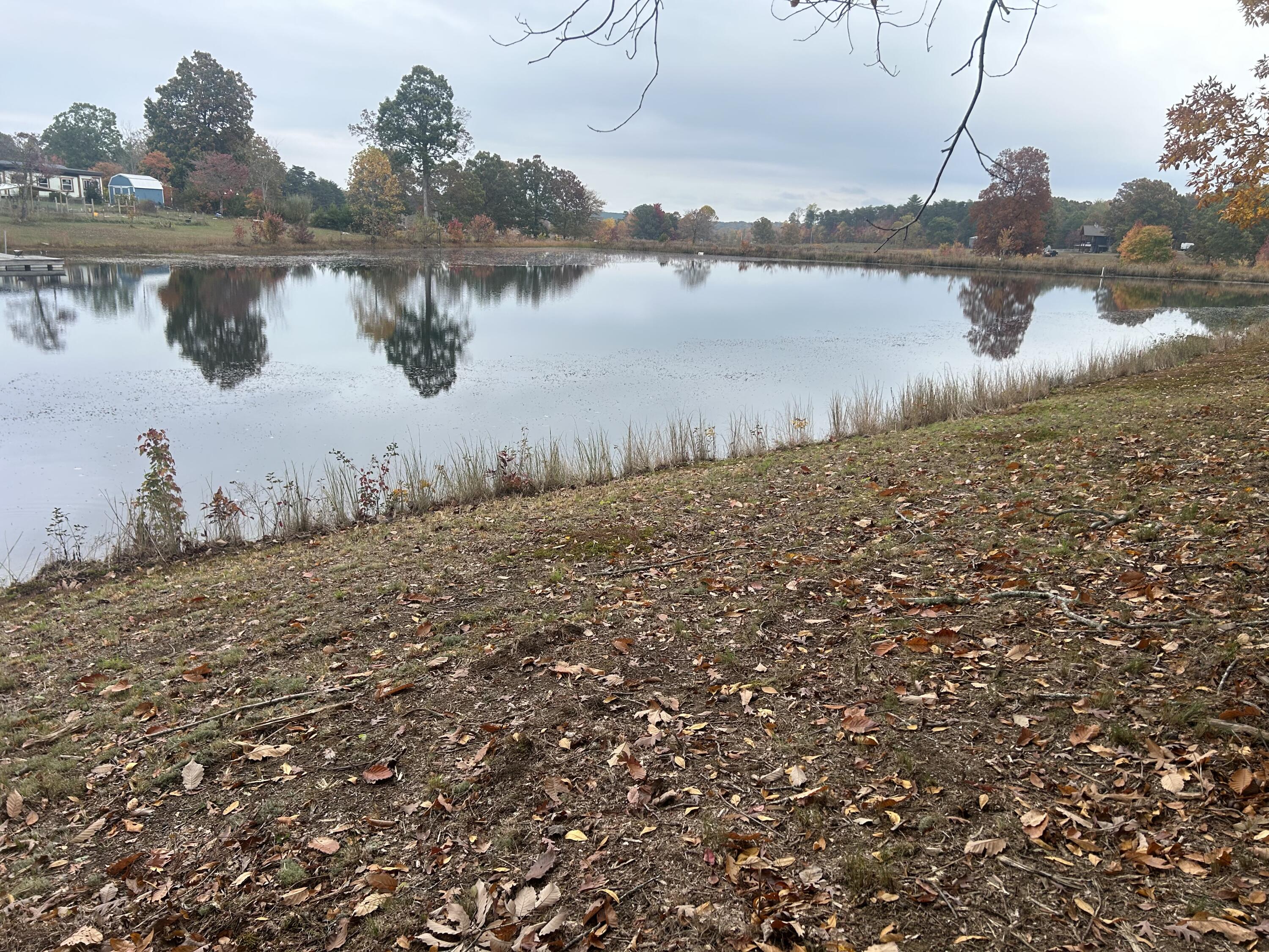 Kerry Lane, Soddy Daisy, Tennessee image 6