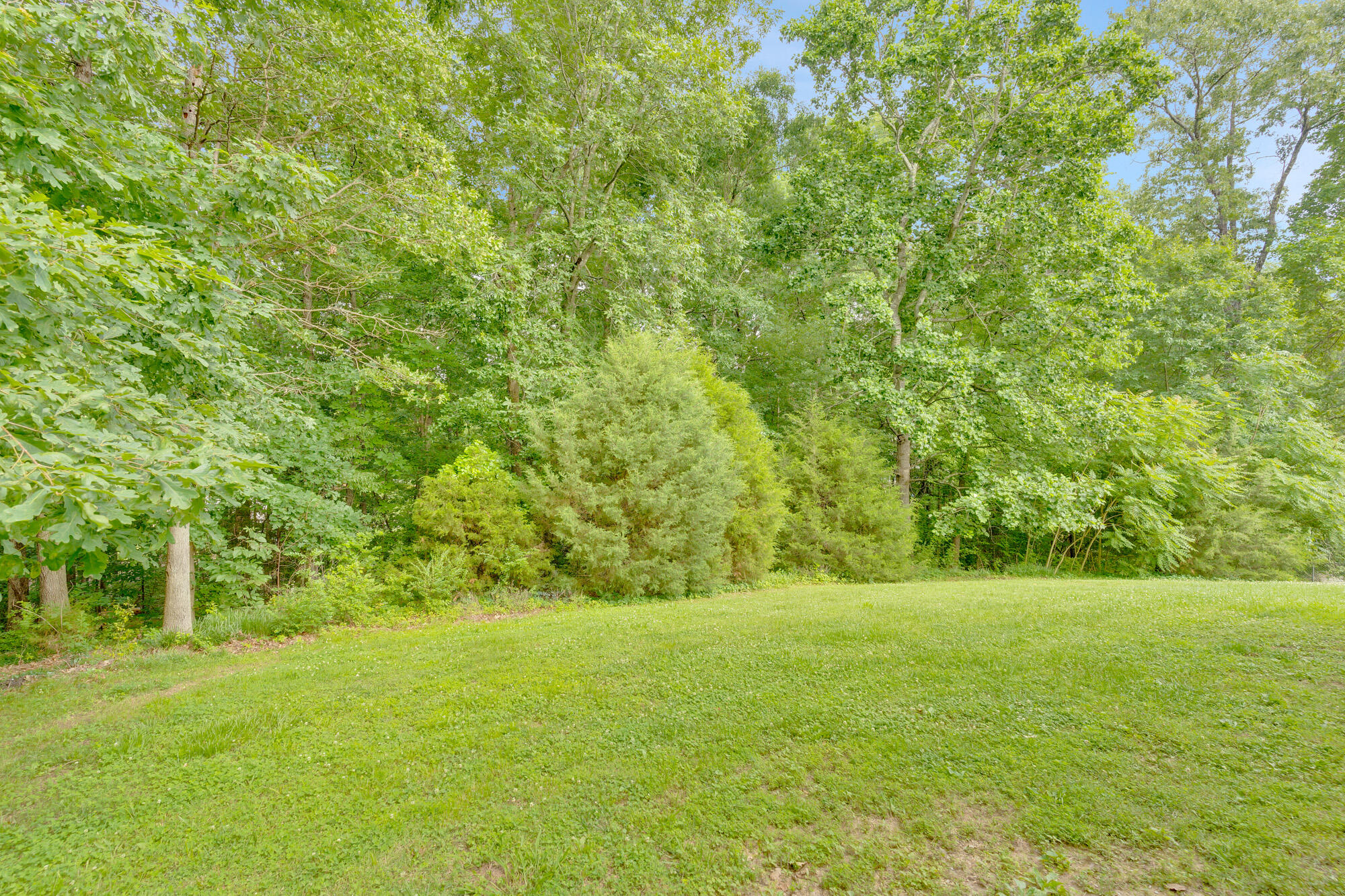 656 Blue Bird Lane, Ringgold, Georgia image 33