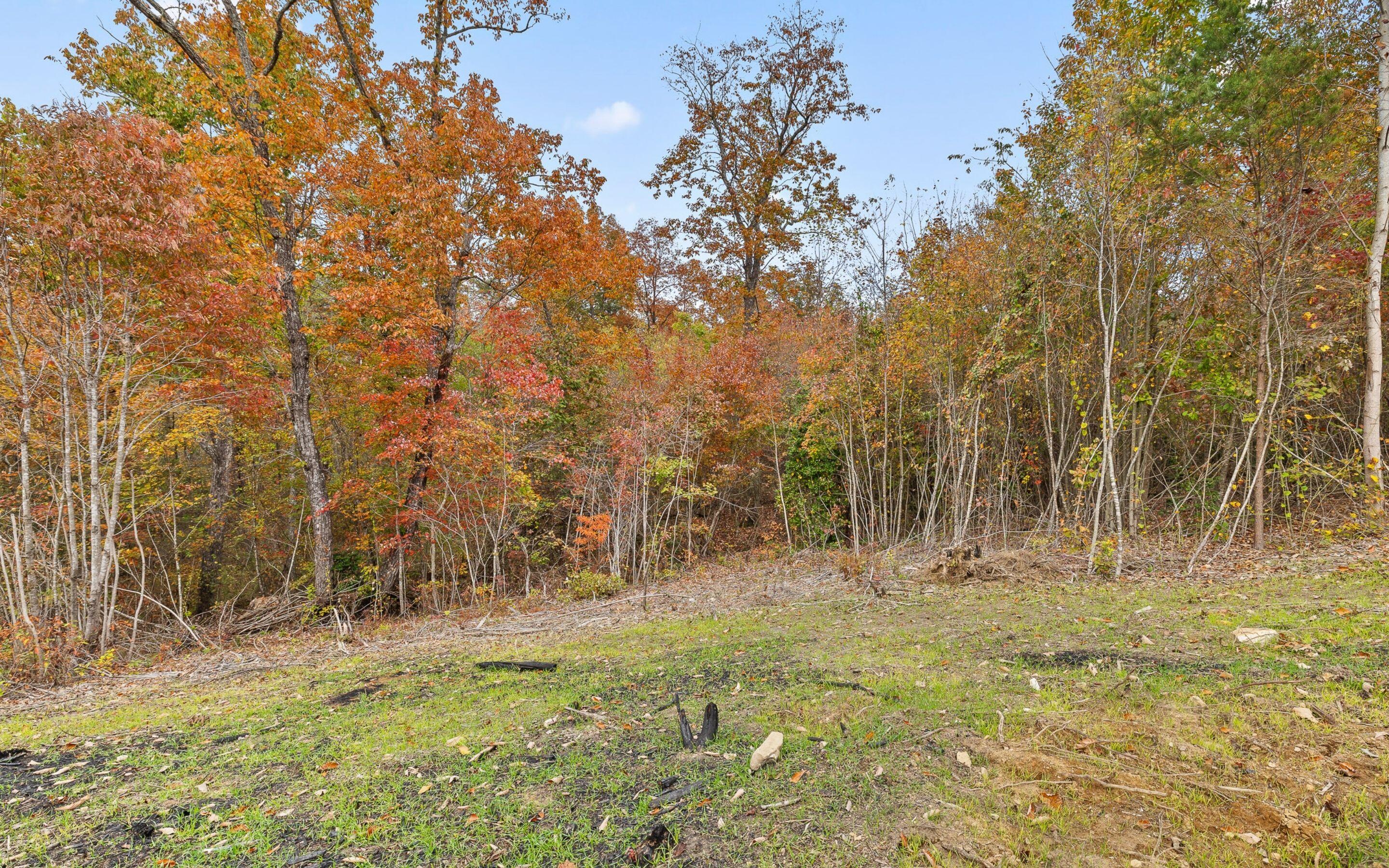Lot 7 Grayson Way, Signal Mountain, Tennessee image 18