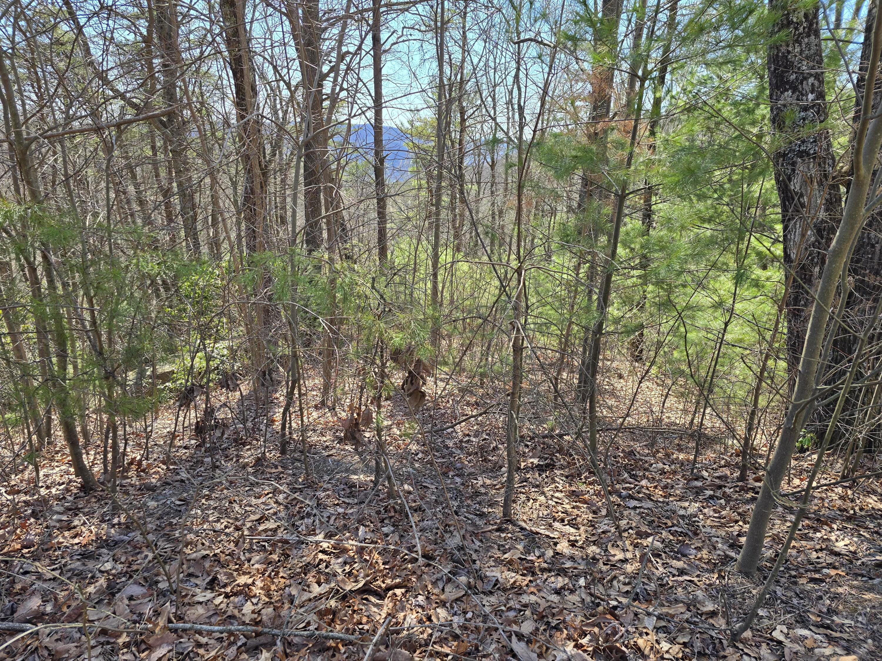 Lot 13/14 Summit Pass, Chatsworth, Georgia image 23