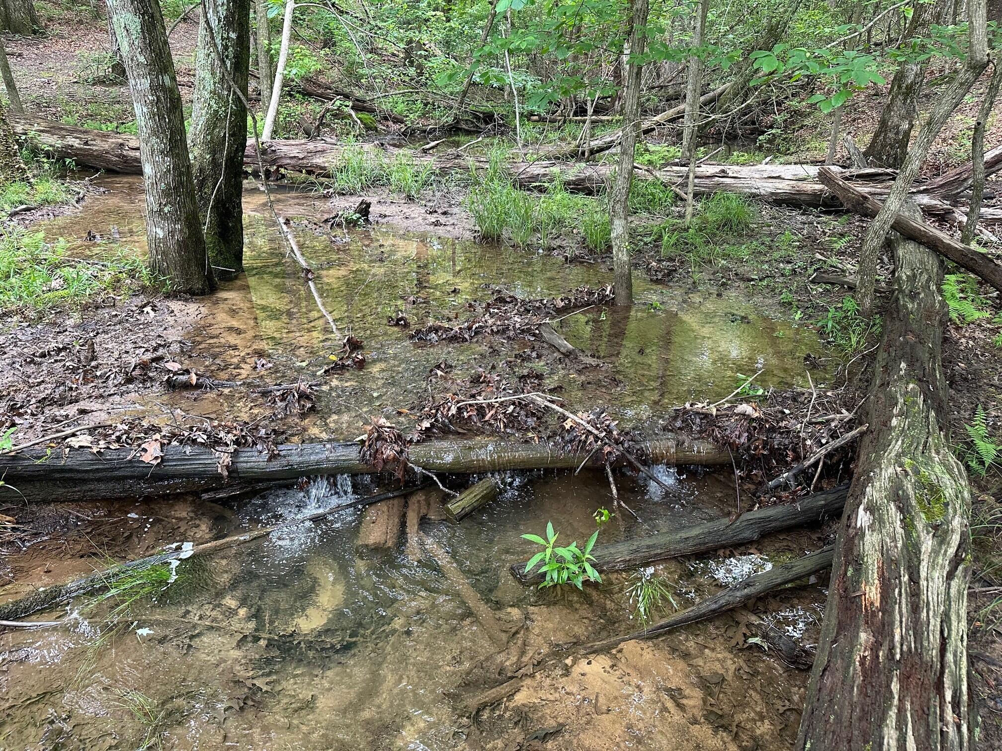 Lot 72 Water View Lane #72, Monteagle, Tennessee image 7