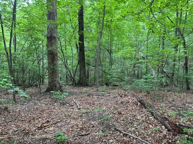 Lot 72 Water View Lane #72, Monteagle, Tennessee image 16