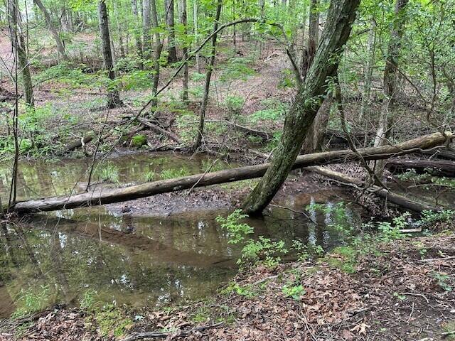 Lot 72 Water View Lane #72, Monteagle, Tennessee image 18