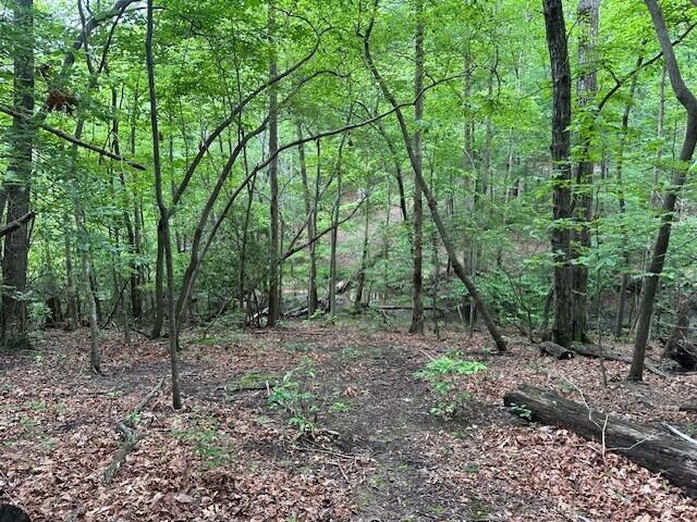 Lot 72 Water View Lane #72, Monteagle, Tennessee image 3