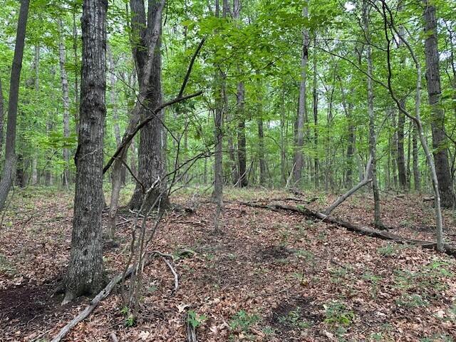 Lot 72 Water View Lane #72, Monteagle, Tennessee image 4