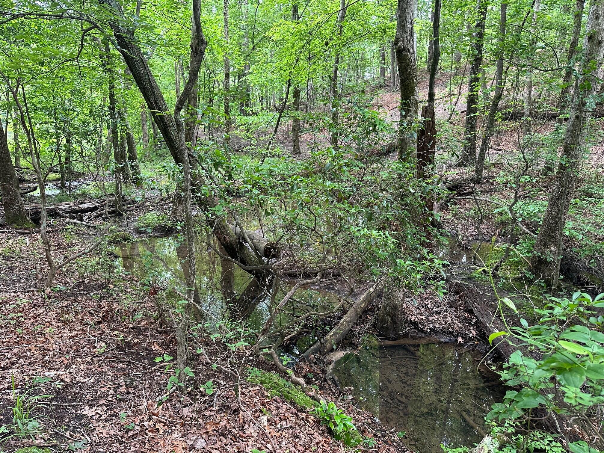 Lot 72 Water View Lane #72, Monteagle, Tennessee image 2