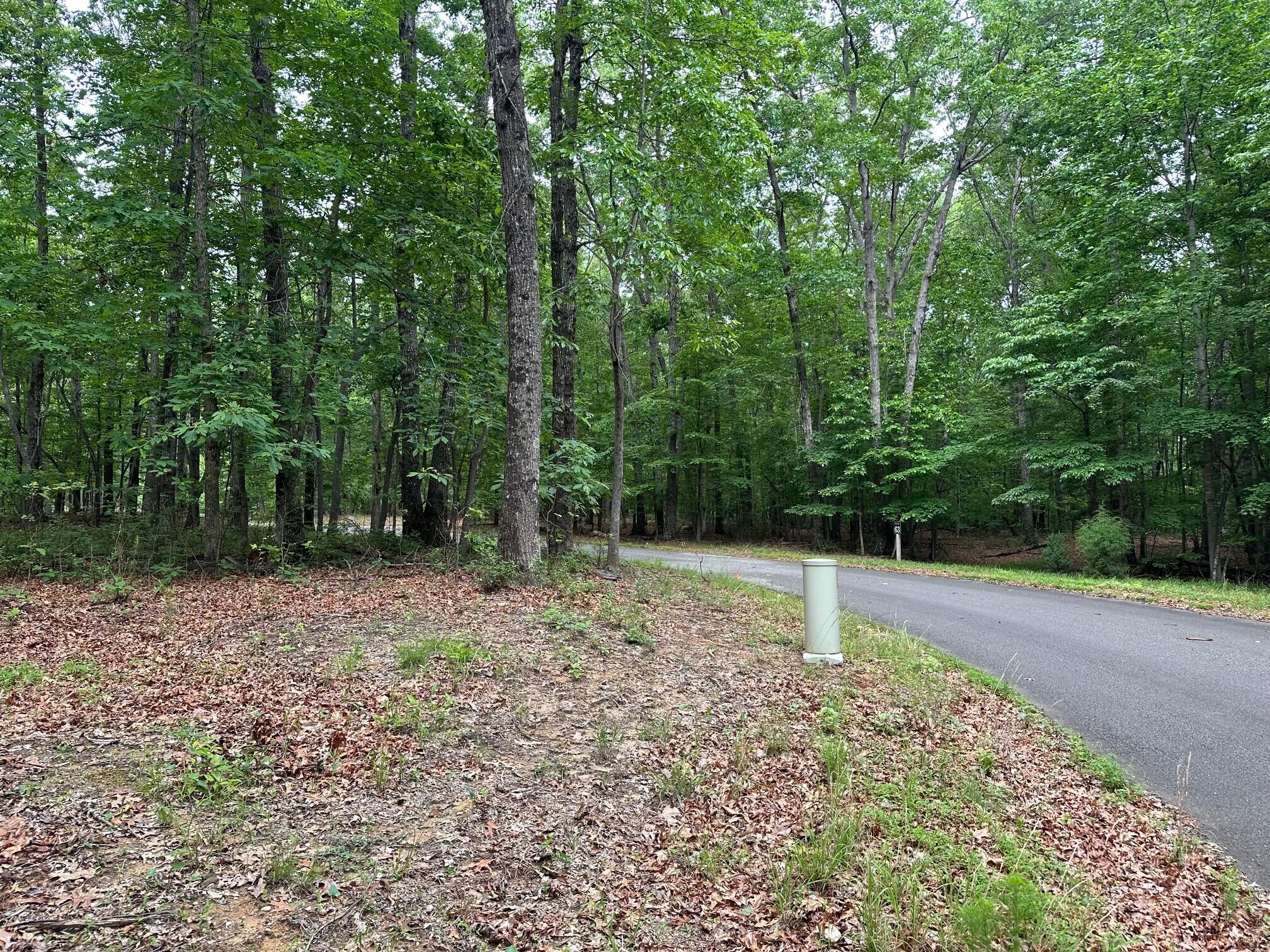 Lot 72 Water View Lane #72, Monteagle, Tennessee image 26