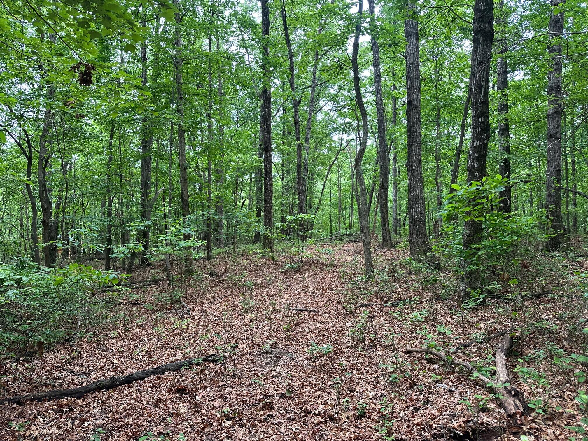 Lot 72 Water View Lane #72, Monteagle, Tennessee image 1