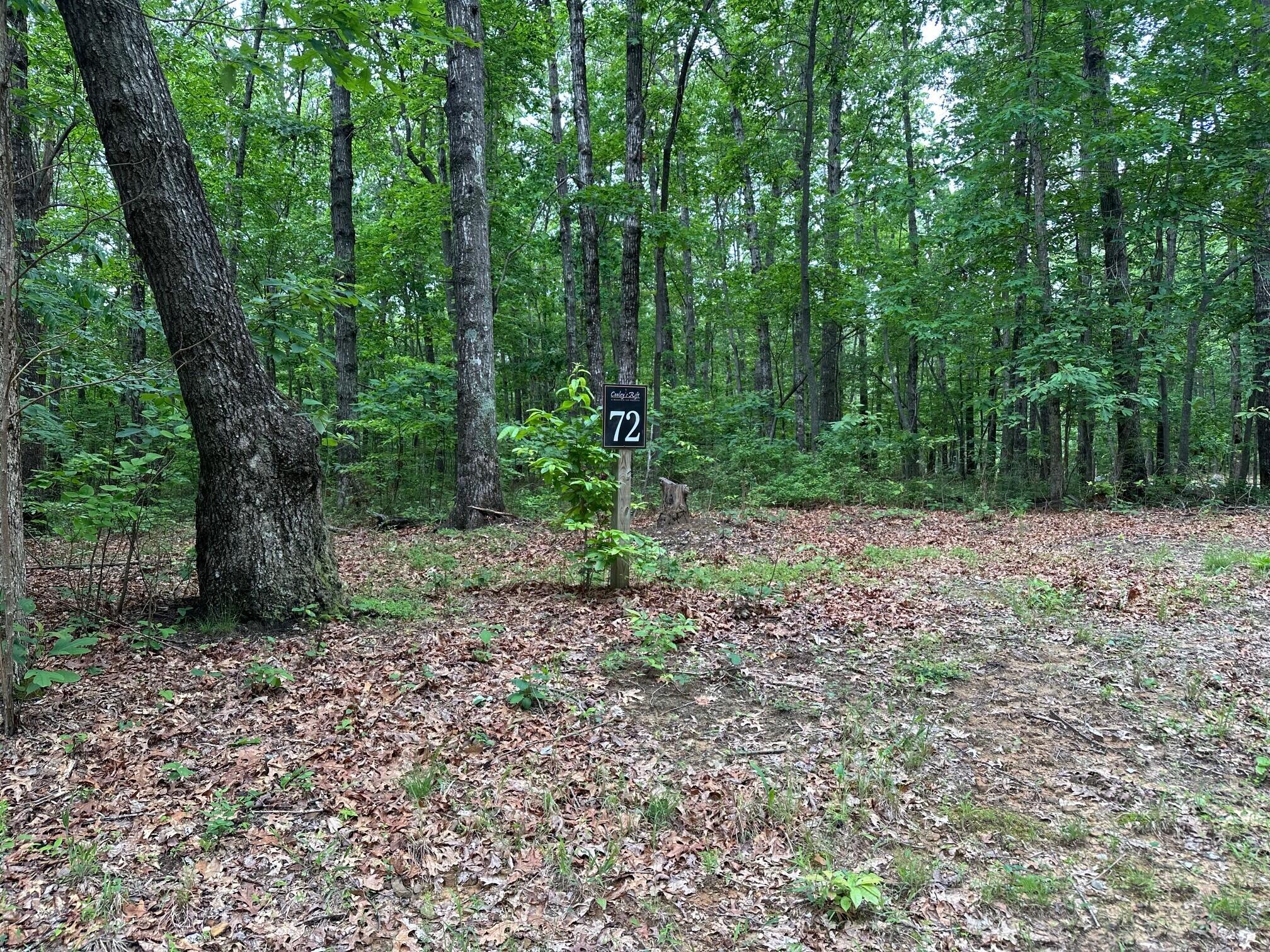 Lot 72 Water View Lane #72, Monteagle, Tennessee image 21