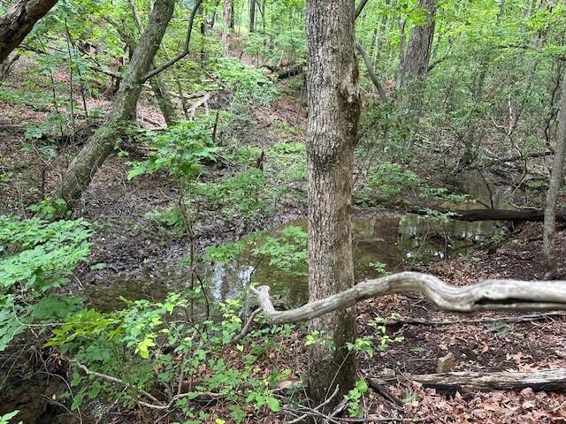 Lot 72 Water View Lane #72, Monteagle, Tennessee image 20