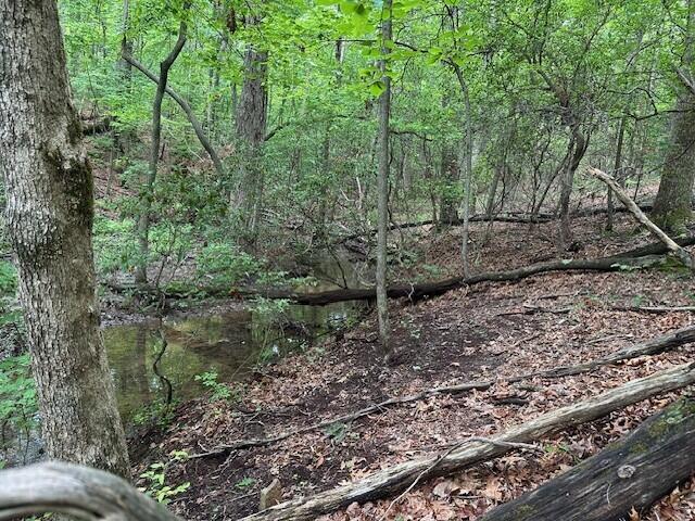 Lot 72 Water View Lane #72, Monteagle, Tennessee image 19