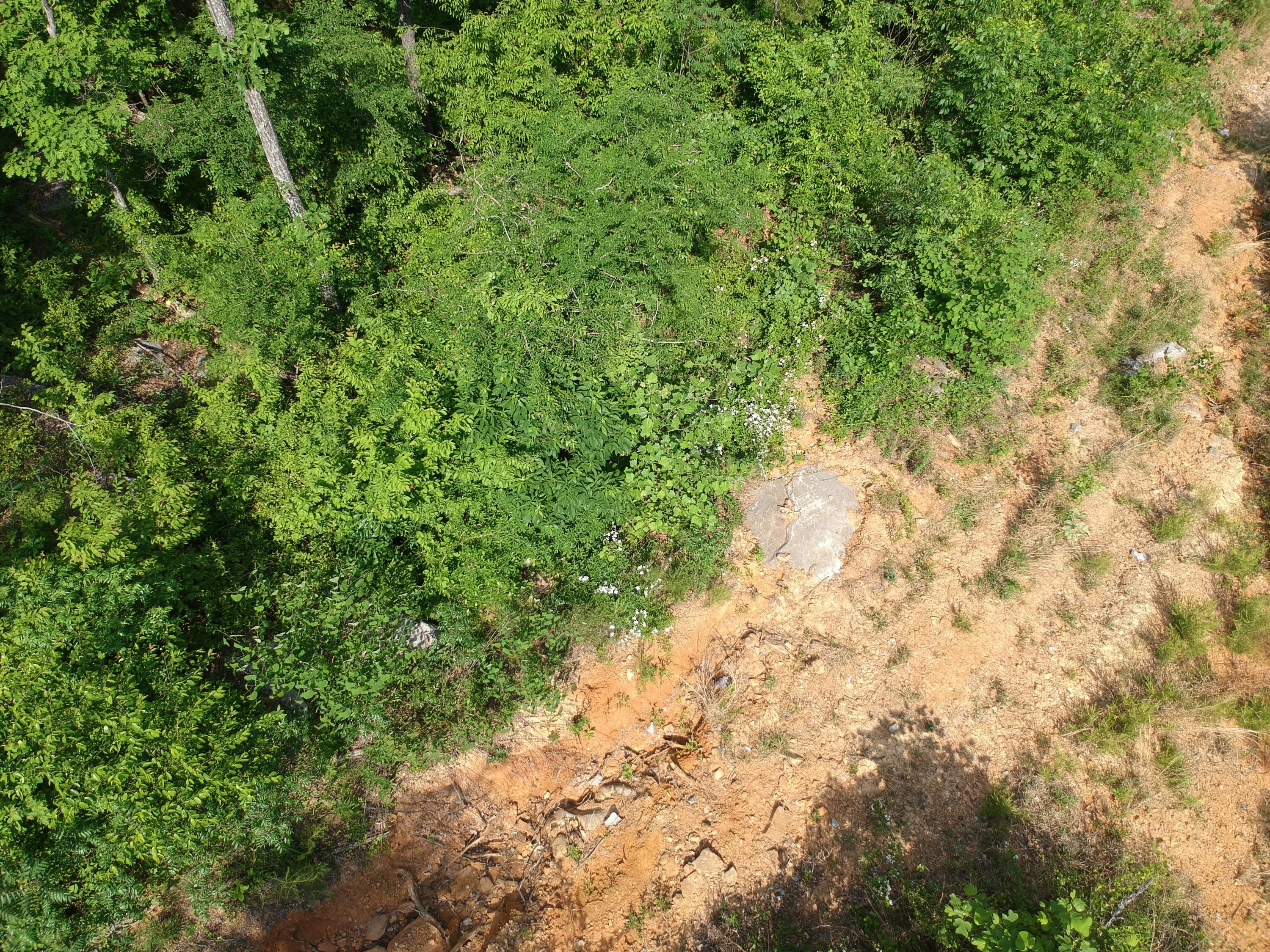 2352 Byrds Chapel Road, Rising Fawn, Georgia image 22