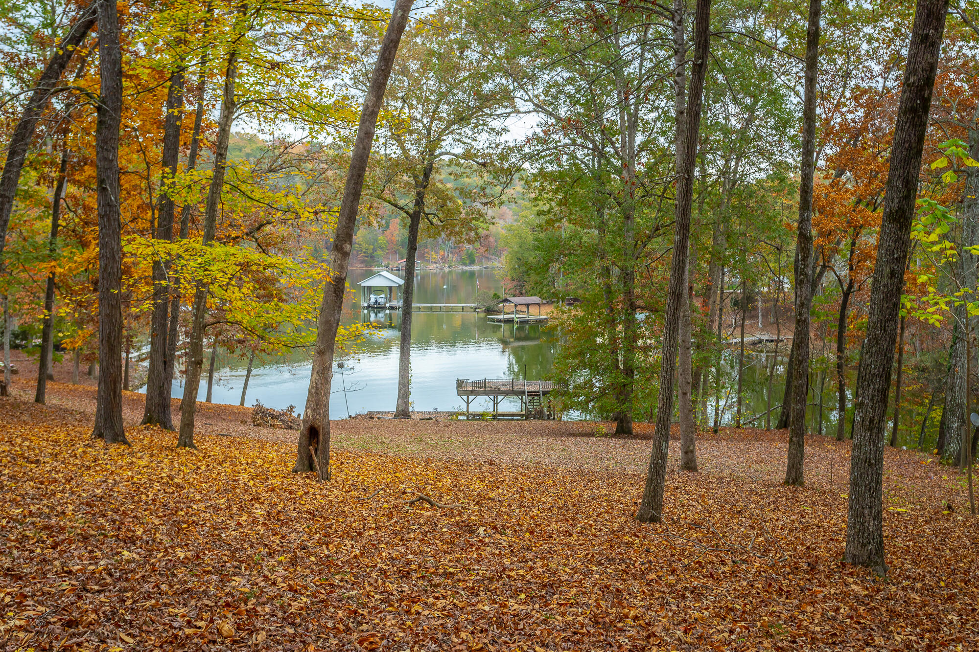 N/A Torbett Road, Spring City, Tennessee image 1