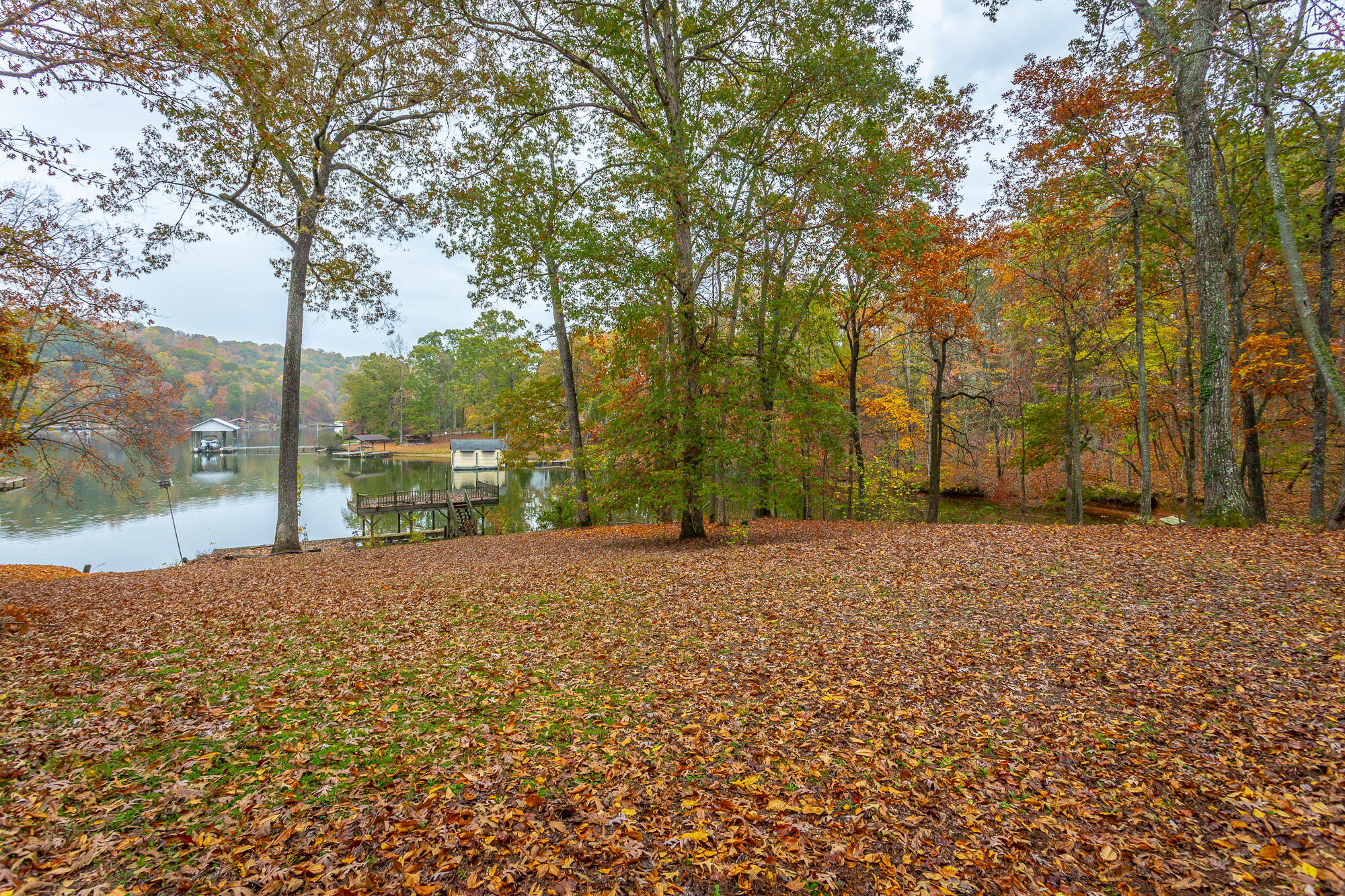 N/A Torbett Road, Spring City, Tennessee image 17