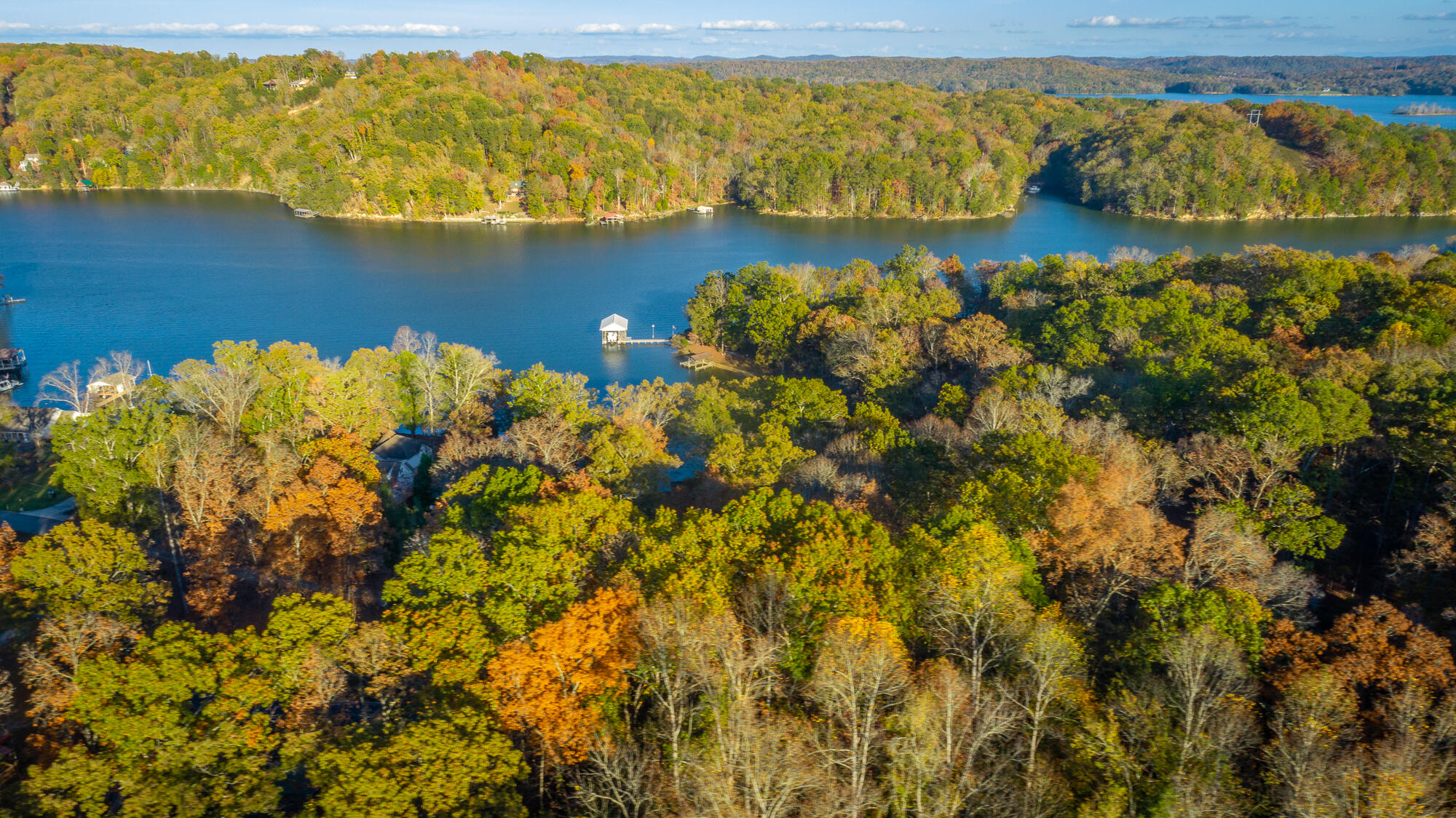 N/A Torbett Road, Spring City, Tennessee image 29