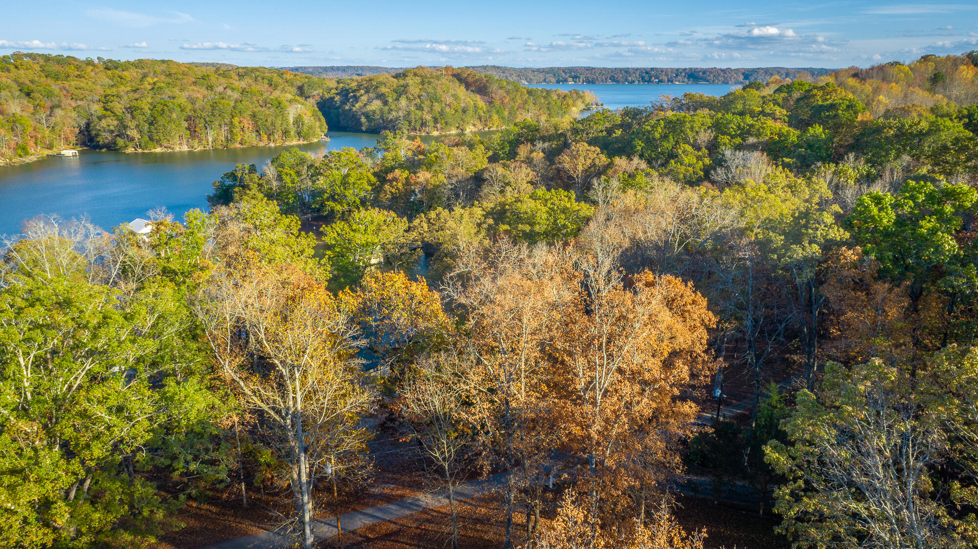 N/A Torbett Road, Spring City, Tennessee image 21