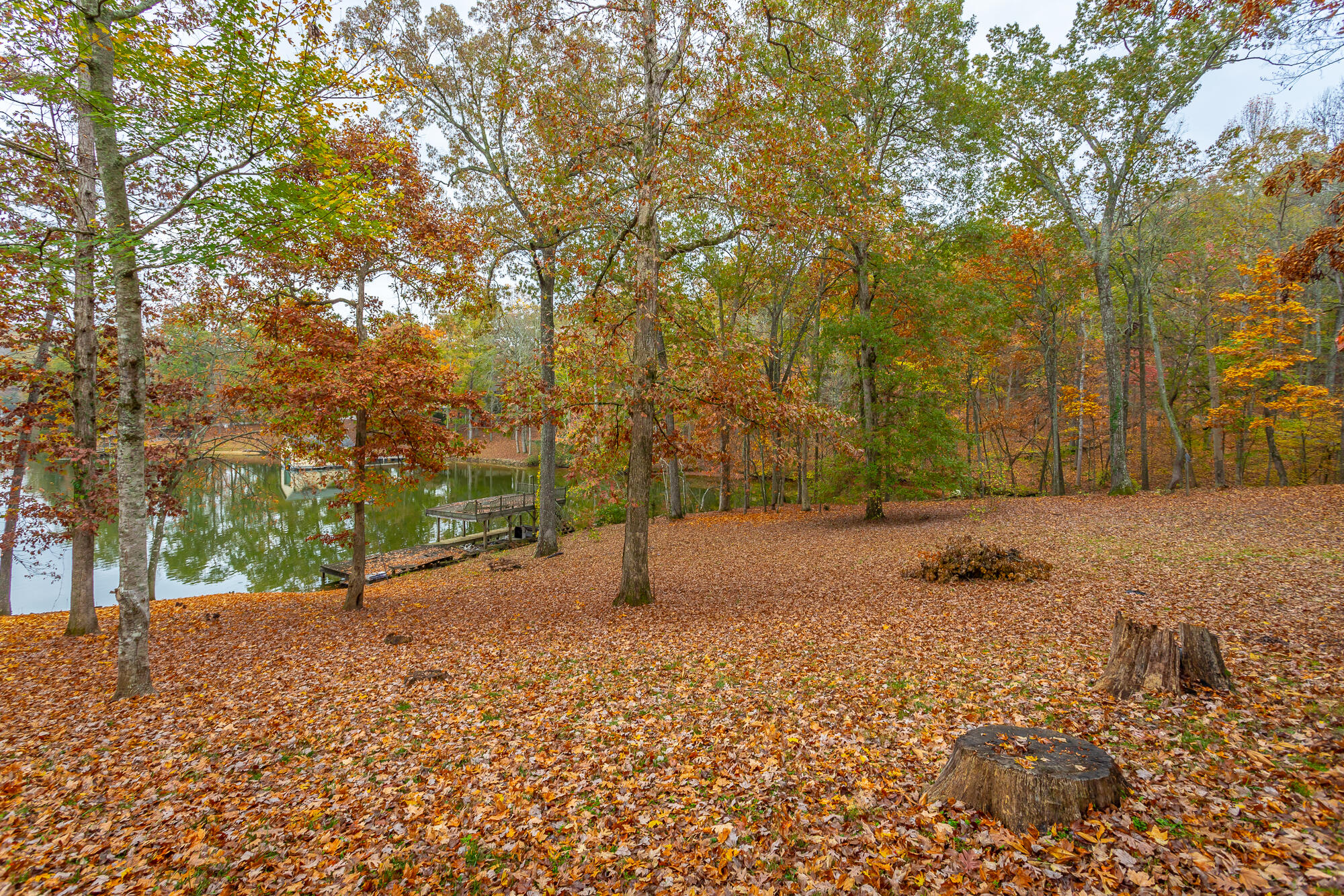 N/A Torbett Road, Spring City, Tennessee image 11