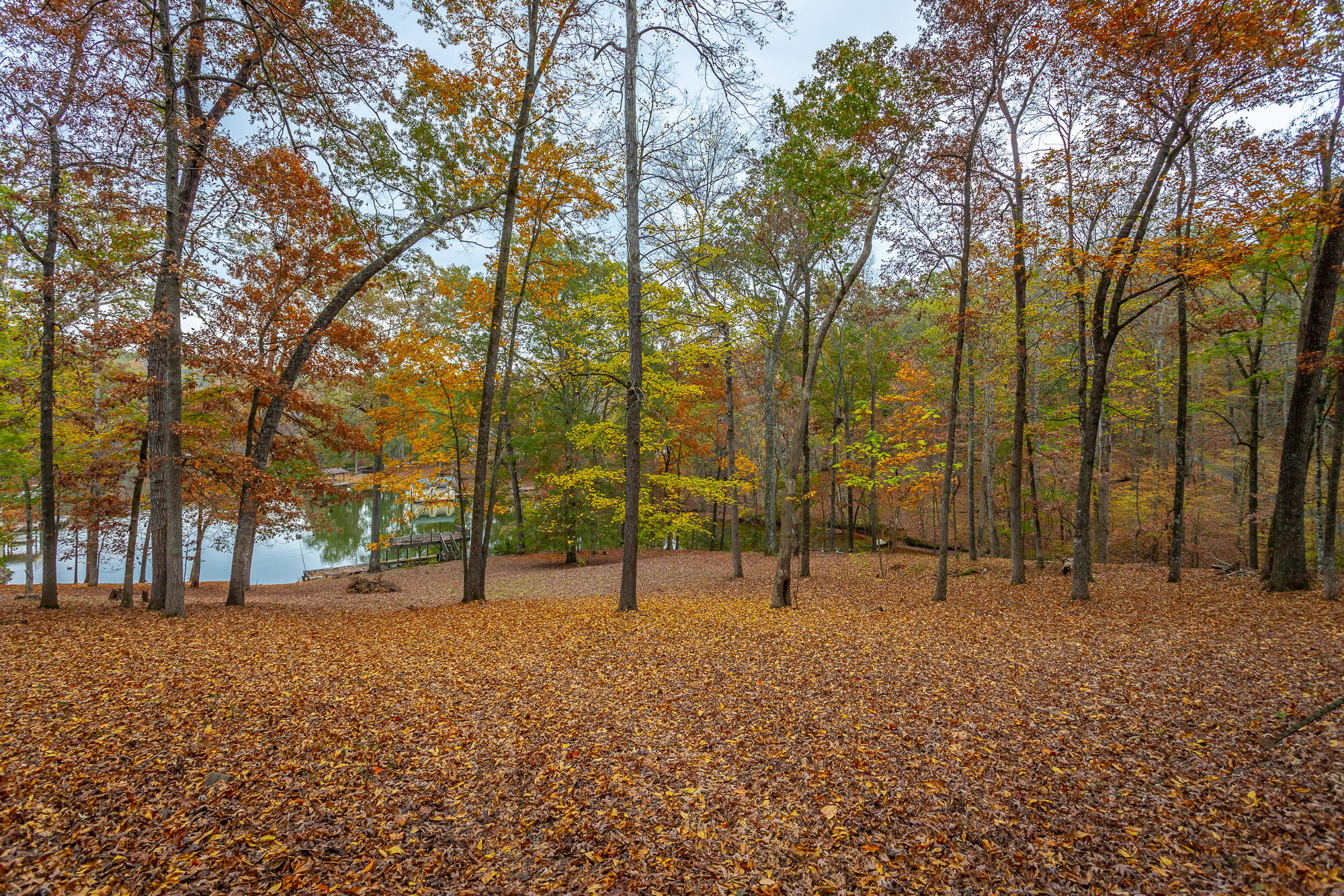 N/A Torbett Road, Spring City, Tennessee image 2
