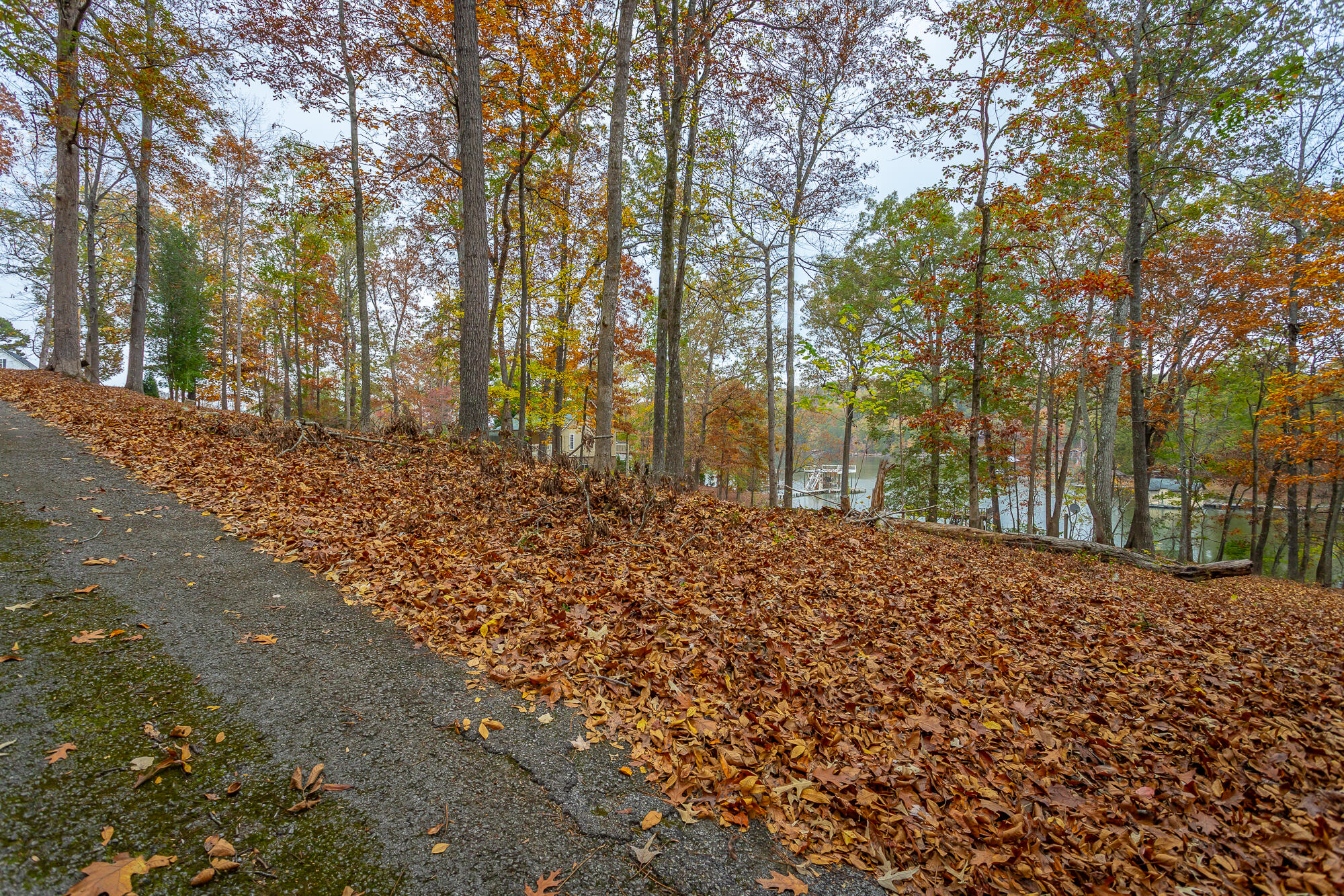 N/A Torbett Road, Spring City, Tennessee image 7