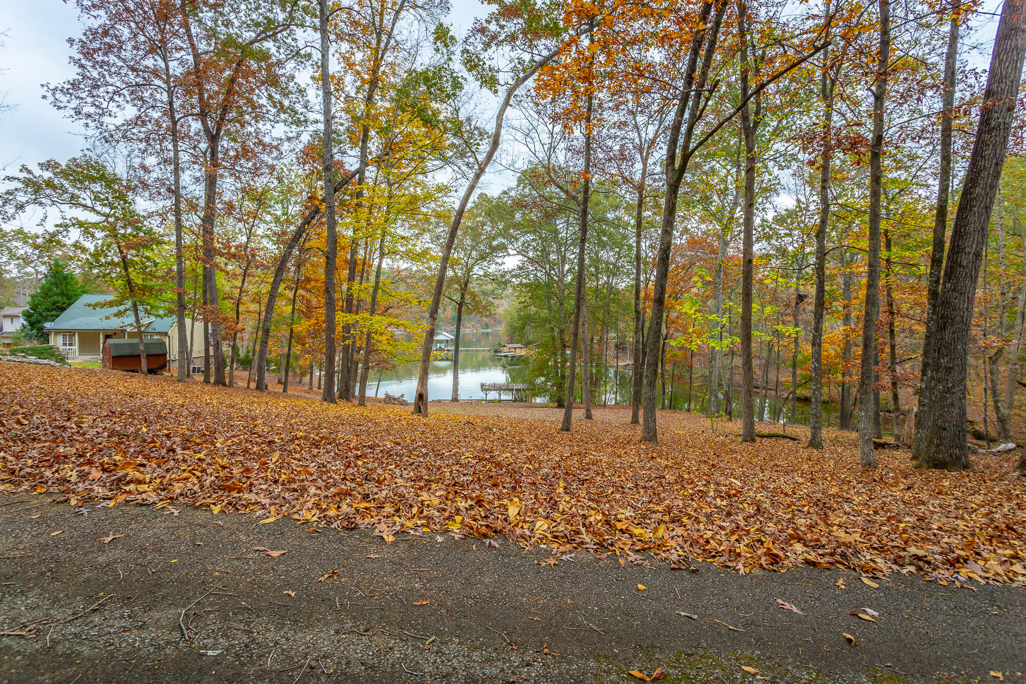 N/A Torbett Road, Spring City, Tennessee image 5