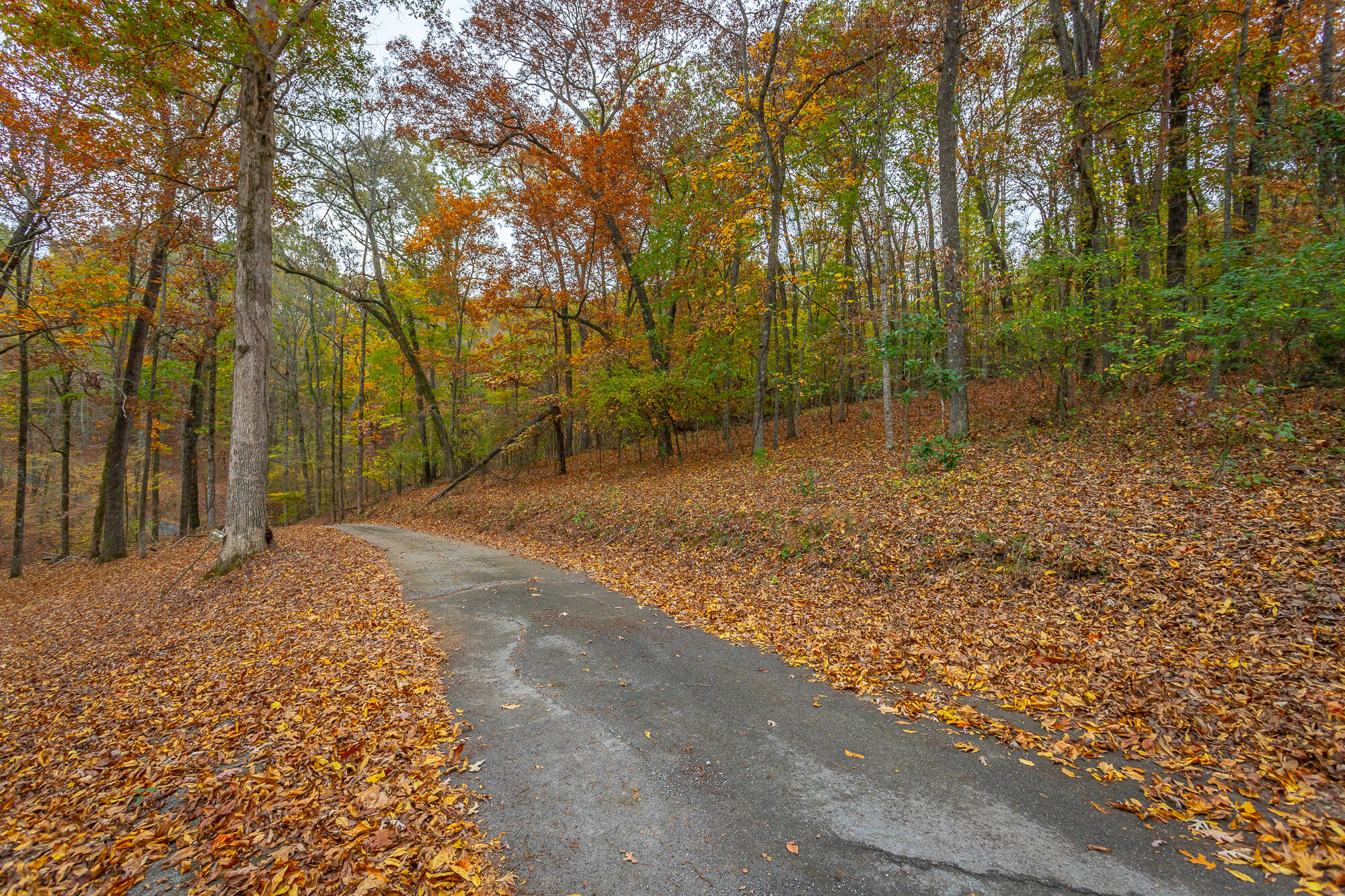 N/A Torbett Road, Spring City, Tennessee image 9