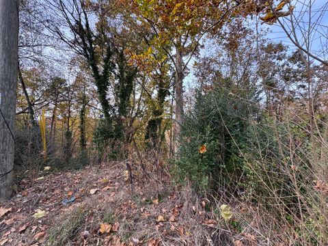 Tiny photo for 9001 Kesler Lane, Chattanooga, TN 37421 (MLS # 1521812)