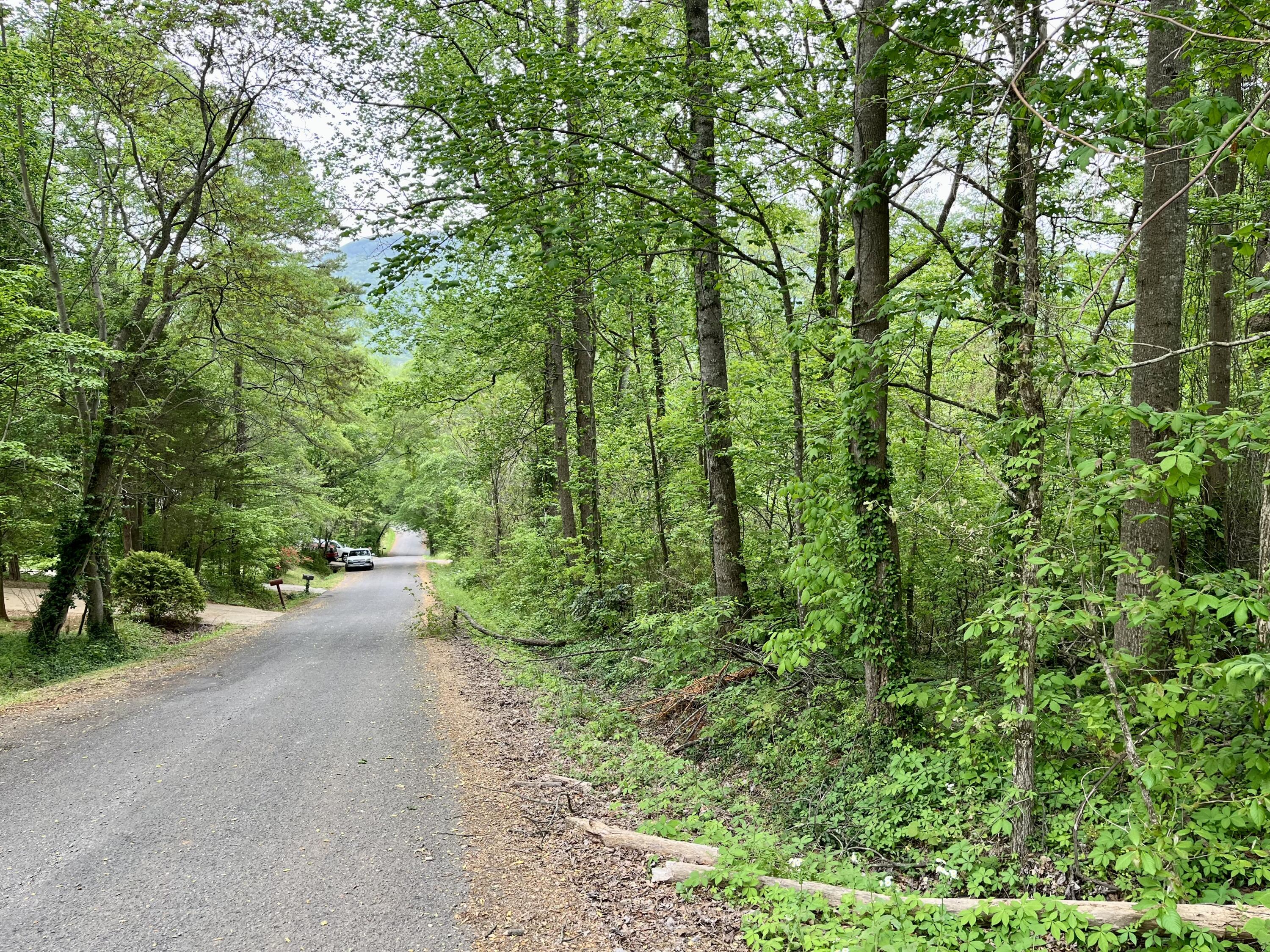 Lot 21 Omega Drive, Whitwell, Tennessee image 1