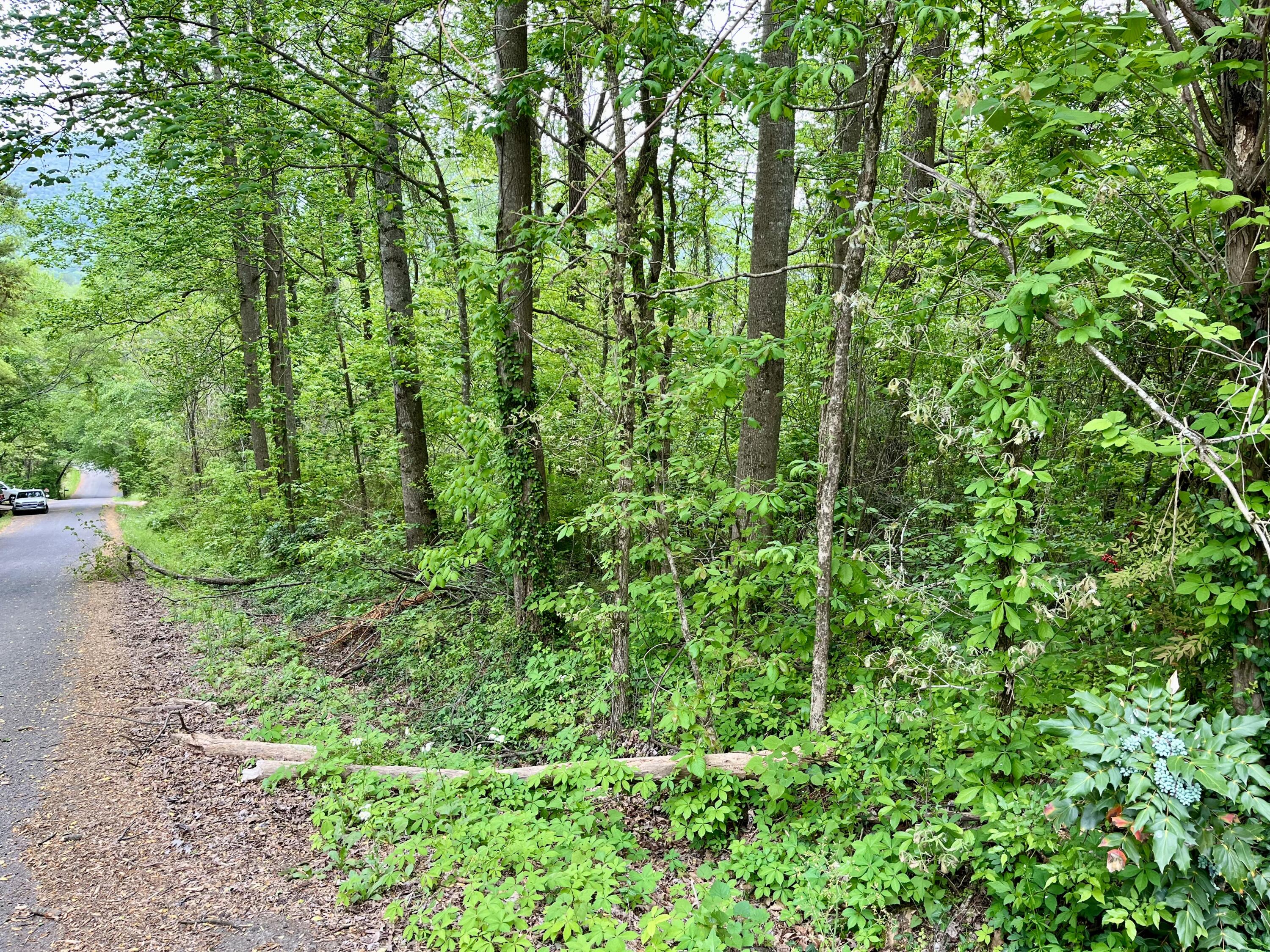 Lot 21 Omega Drive, Whitwell, Tennessee image 4
