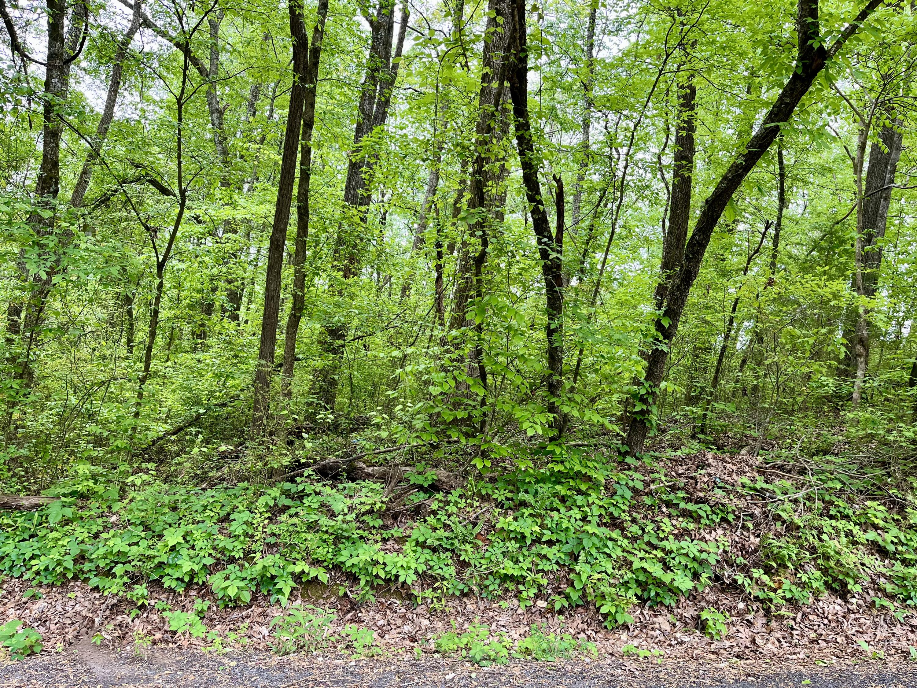 Lot 21 Omega Drive, Whitwell, Tennessee image 3