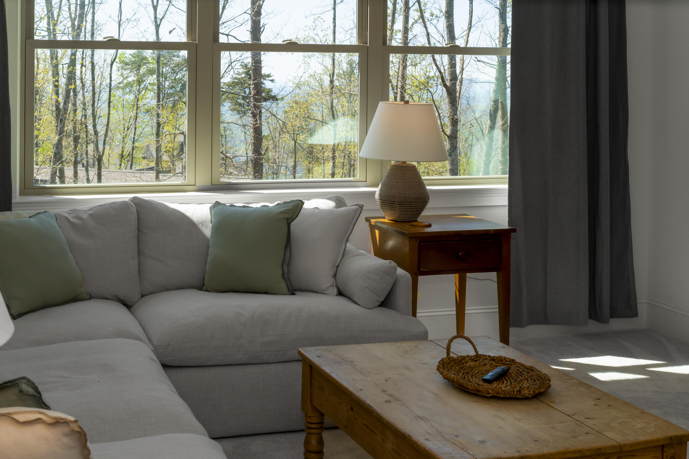1375 Wintergreen Lane, Signal Mountain, Tennessee image 13