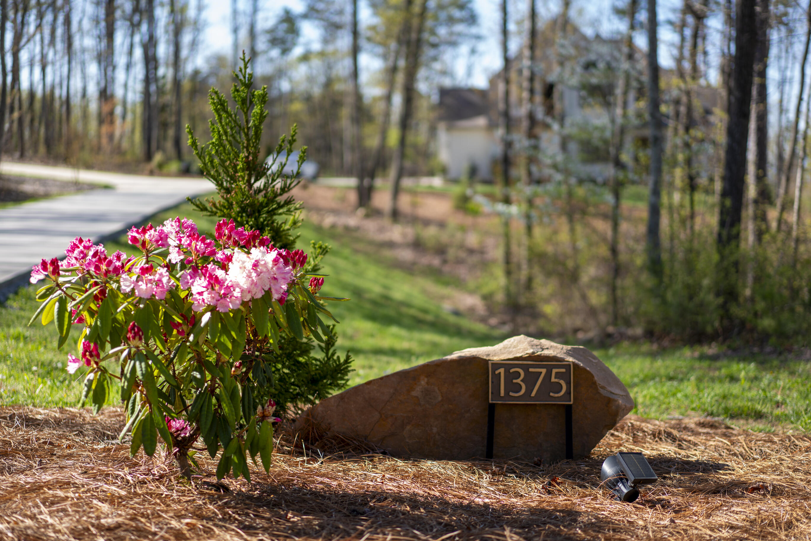 1375 Wintergreen Lane, Signal Mountain, Tennessee image 2
