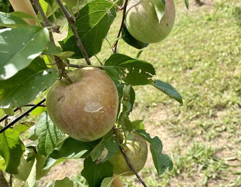 Tiny photo for 2208 Poe Road, Soddy Daisy, TN 37379 (MLS # 1528169)