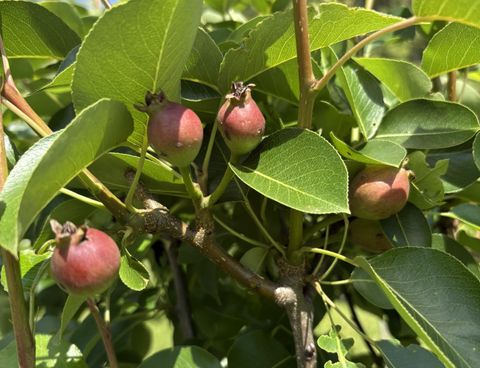 Tiny photo for 2208 Poe Road, Soddy Daisy, TN 37379 (MLS # 1528169)