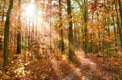 Tiny photo for 2208 Poe Road, Soddy Daisy, TN 37379 (MLS # 1528169)