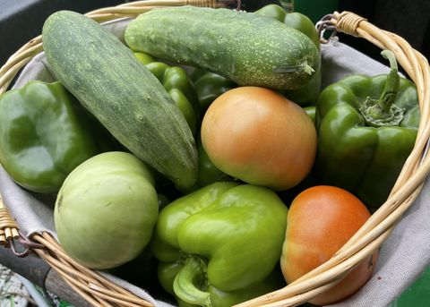 Tiny photo for 2208 Poe Road, Soddy Daisy, TN 37379 (MLS # 1528169)