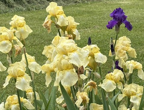 Tiny photo for 2208 Poe Road, Soddy Daisy, TN 37379 (MLS # 1528169)