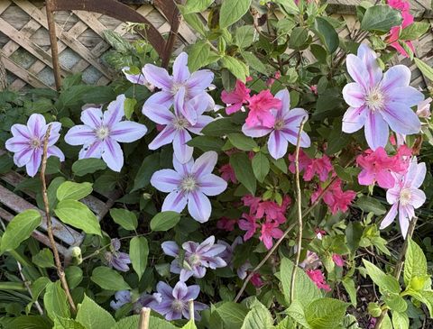 Tiny photo for 2208 Poe Road, Soddy Daisy, TN 37379 (MLS # 1528169)