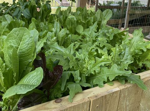 Tiny photo for 2208 Poe Road, Soddy Daisy, TN 37379 (MLS # 1528169)