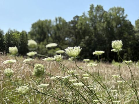 Tiny photo for 2208 Poe Road, Soddy Daisy, TN 37379 (MLS # 1528169)