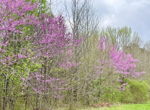 Tiny photo for 2208 Poe Road, Soddy Daisy, TN 37379 (MLS # 1528169)