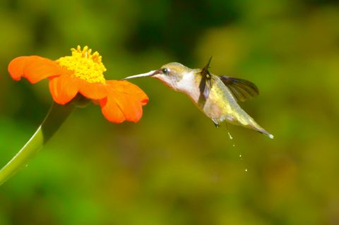 Tiny photo for 2208 Poe Road, Soddy Daisy, TN 37379 (MLS # 1528169)