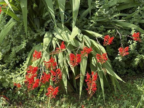 Tiny photo for 2208 Poe Road, Soddy Daisy, TN 37379 (MLS # 1528169)