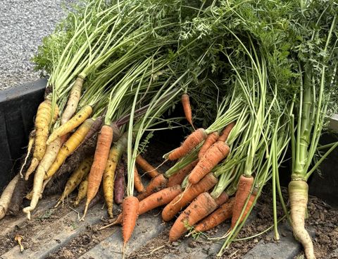 Tiny photo for 2208 Poe Road, Soddy Daisy, TN 37379 (MLS # 1528169)